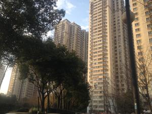 月光广场小区图片