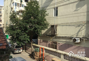 杨家胡同小区图片