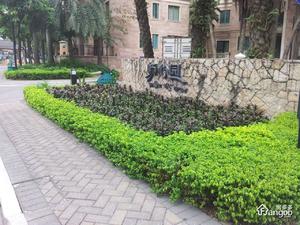星河湾畅心园小区图片
