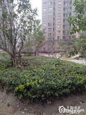 水仙雅苑小区图片