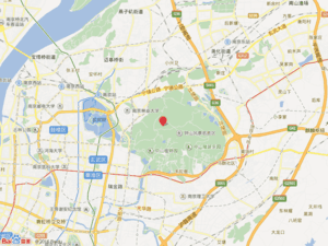 紫金山林苑小区图片