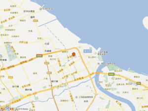 友谊支路300弄小区图片