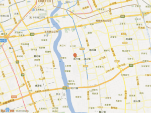 浦锦路1306号小区图片