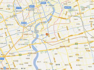 杨新路95号小区图片
