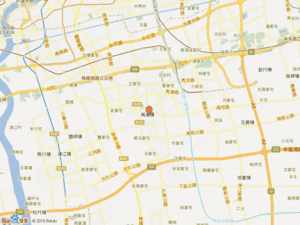 康沈路1635号小区图片