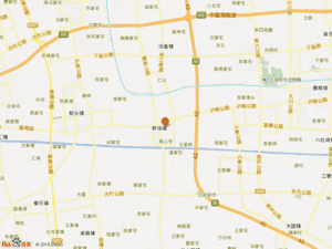 新场镇洪东街小区图片