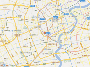 宜山路333号小区图片