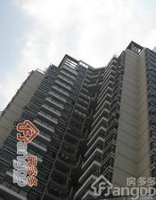 前海金岸大厦小区图片